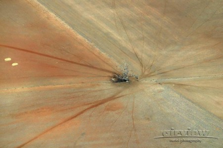 Aerial Image of GAP IN THE FENCE, OUTBACK NSW