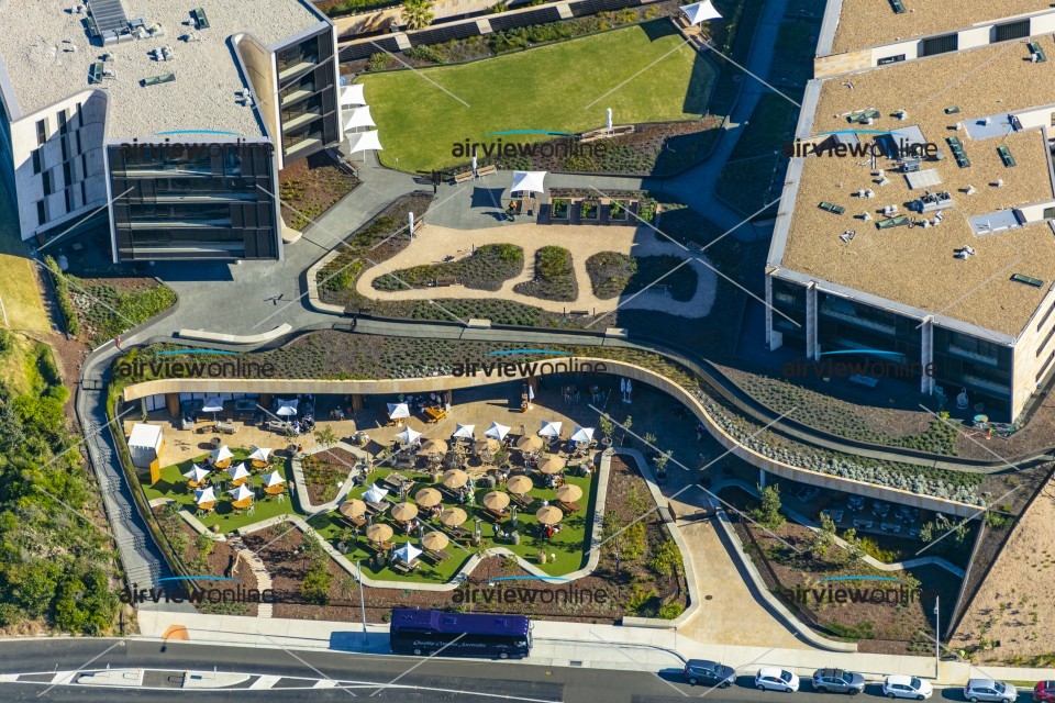 Aerial Photography Harbord Diggers 2019 Airview Online