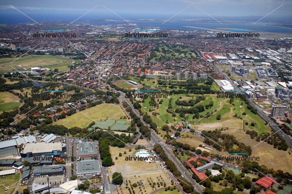 Aerial Photography Moore Park Airview Online