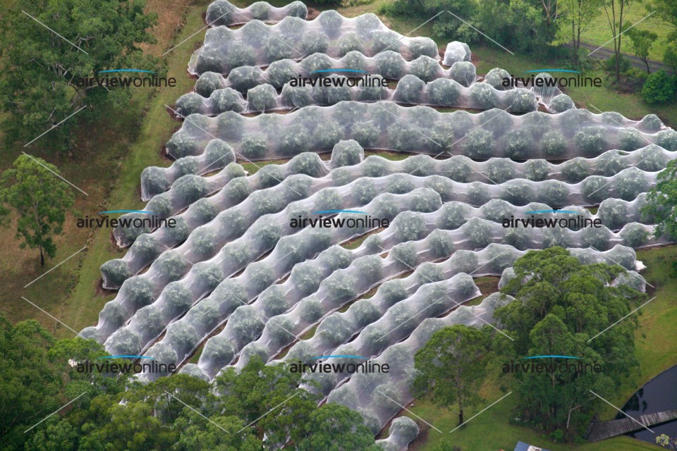 Aerial Photography Fruit Tree Netting, NSW Airview Online
