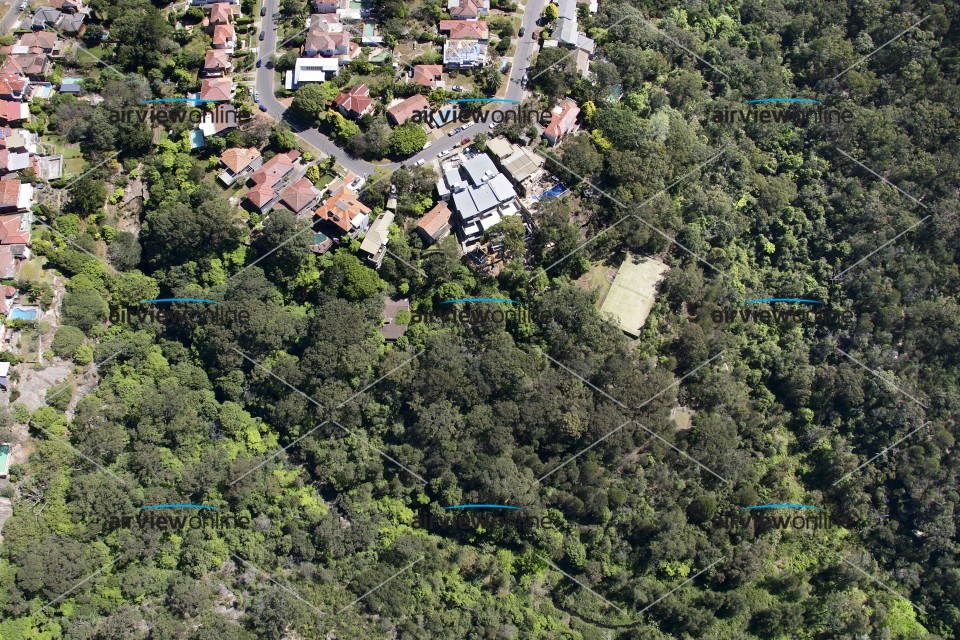 Aerial Image of Castlecrag Detail