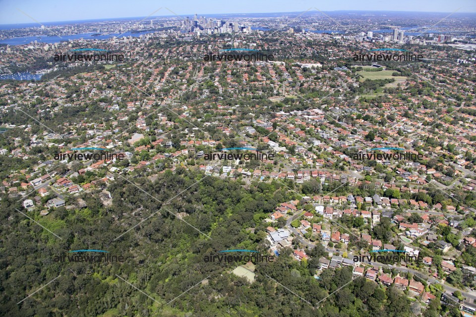 Aerial Image of Castlecrag to Sydney CBD